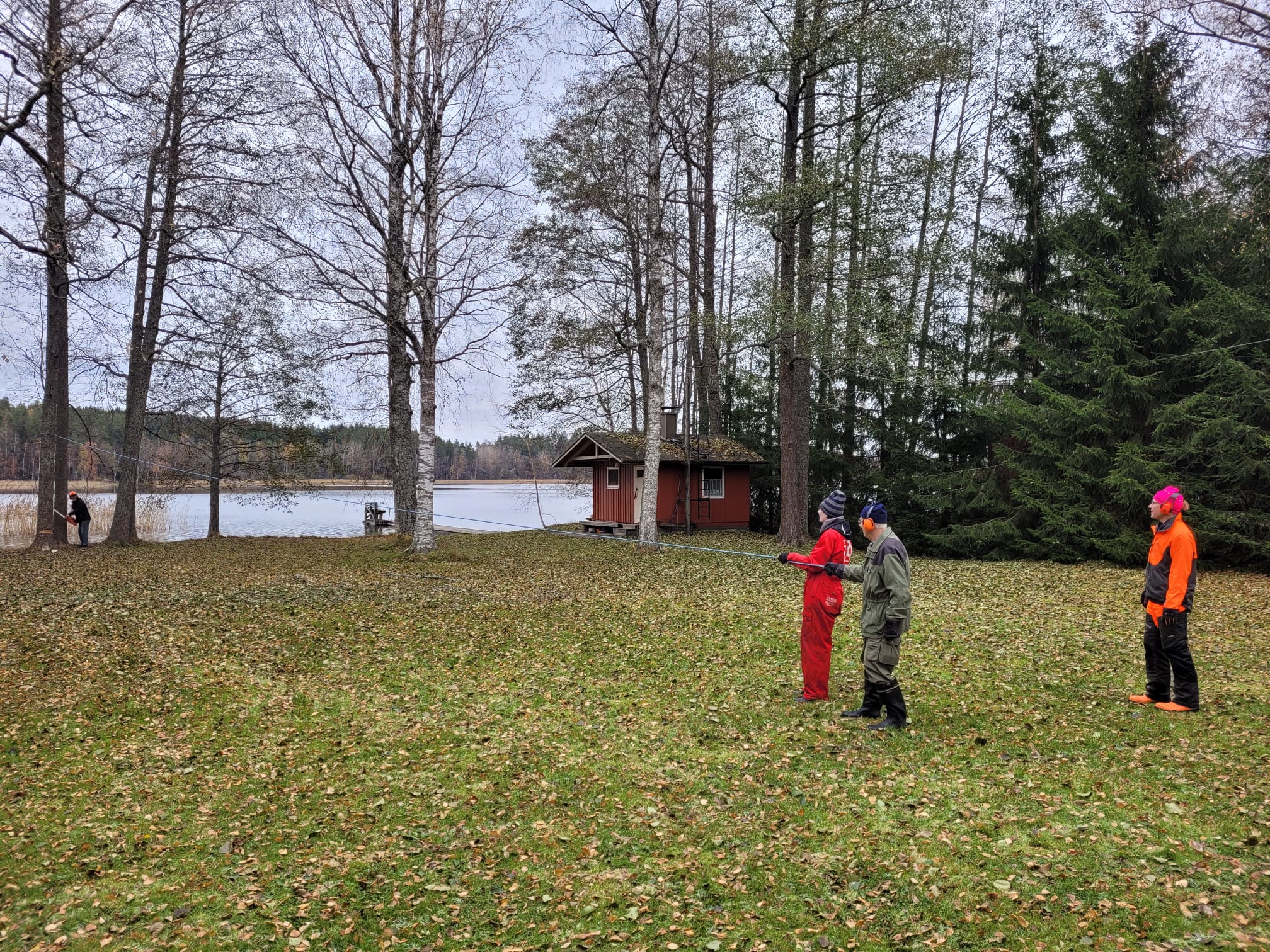 Tervaleppä Kymijärven rannasta 28.10.2023